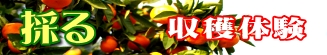 ň@݂EkE